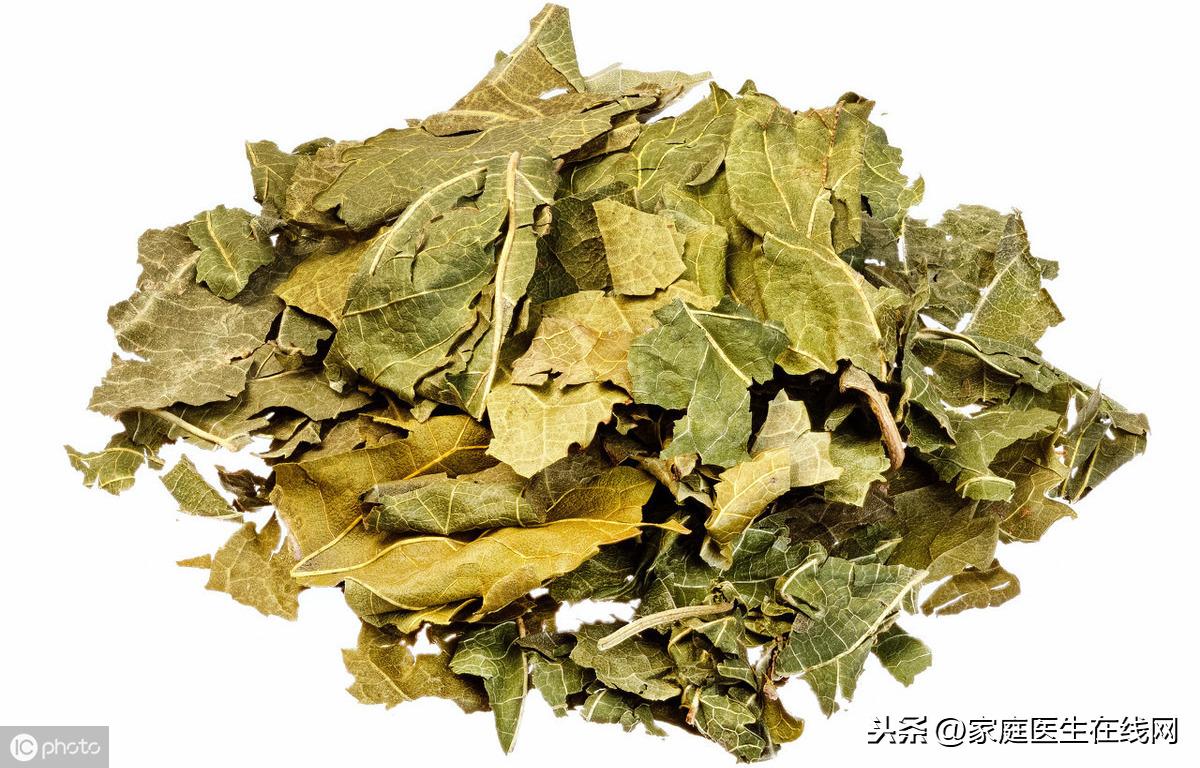 玉米须桑叶茶能降高血糖吗,血糖高喝桑叶管用吗