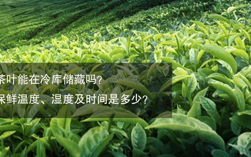 茶叶的冷藏保存多长时间