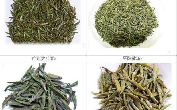 云南茶叶种类的名字大全有哪些