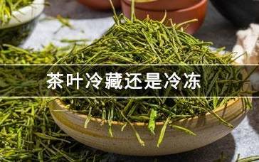 茶叶能冷冻保存吗