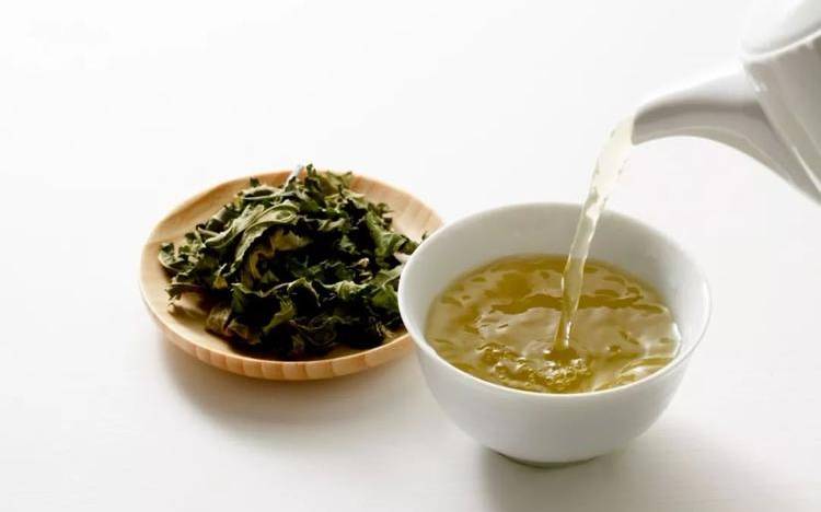 长期喝桑叶茶有什么危害