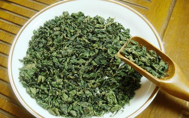 什么季节的桑叶茶最好