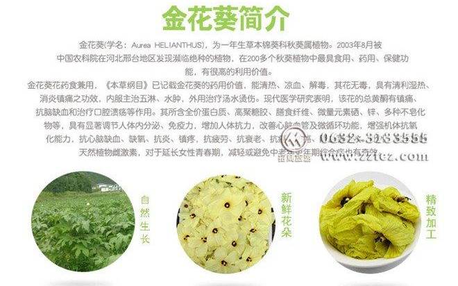 金花葵茶叶能减肥吗孕妇可以喝吗早期