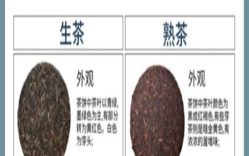 熟普洱茶的喝法（普洱茶和水的比例是多少）