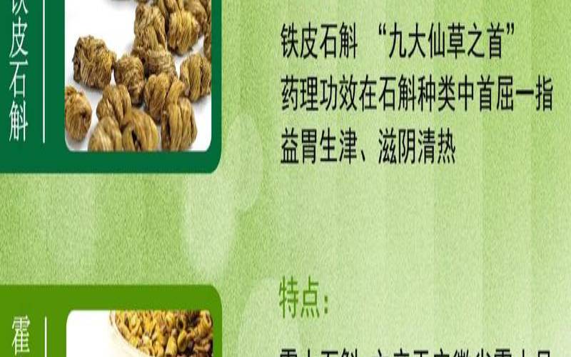 铁皮石斛茶的功效与禁忌（石斛功效与作用功能）