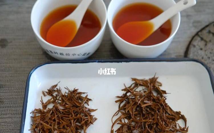 茶叶汤的功效与作用是什么（用茶叶做汤的做法大全）