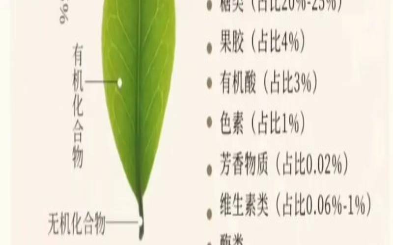 普洱茶生茶有减肥功效吗（喝普洱茶减肥的正确方法）