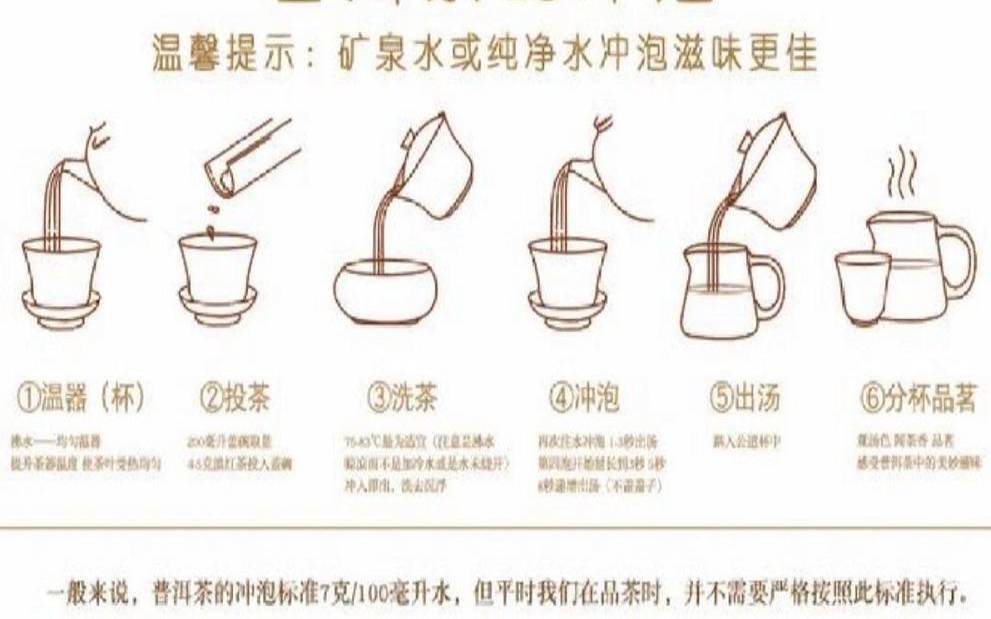 普洱茶正确泡法视频（普洱茶怎么喝法）