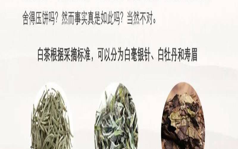 白茶是什么茶什么种类（各类茶叶的功效及主要品种）