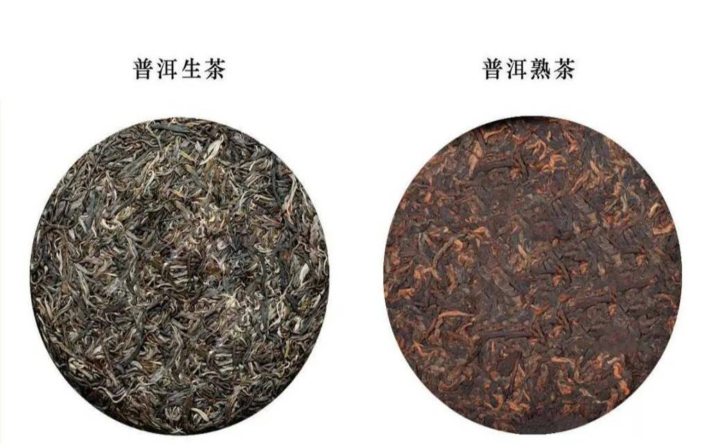 卧龙山普洱茶（生茶与熟茶的泡法）