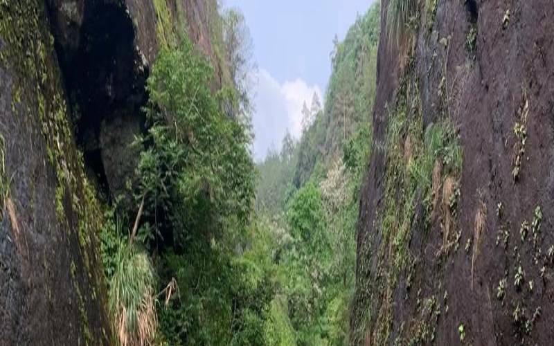 武夷山景区三坑两涧（武夷岩茶怎样保存）