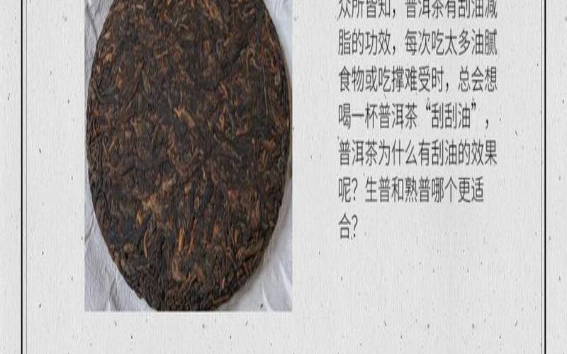 减肥的普洱茶买哪种（哪种普洱茶减肥）