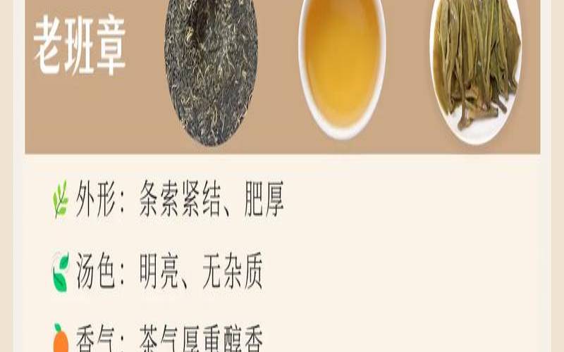 宁洱最好的茶叶排名第一是（中国十大普洱名茶排名）