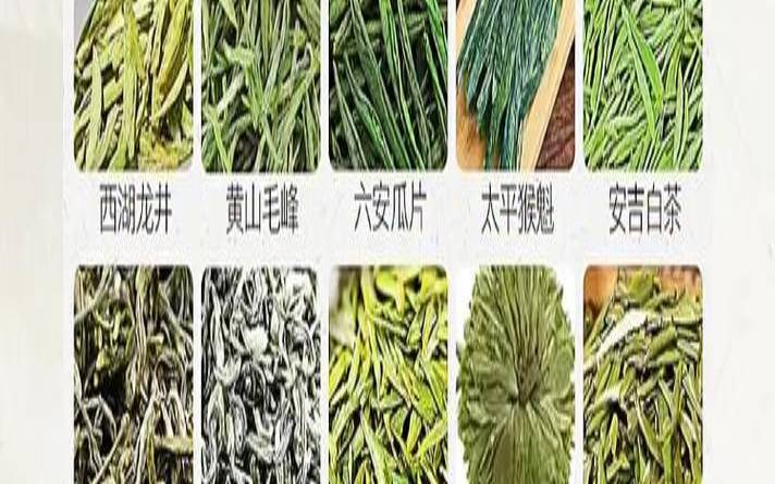 新疆茶叶品种（茶叶品种有哪几种茶）