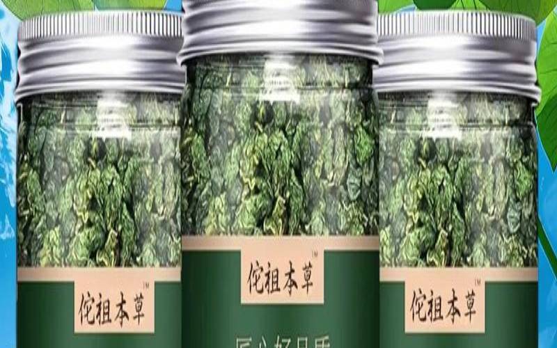 老年人可以喝桑叶茶水吗（霜后桑叶茶能长喝吗）