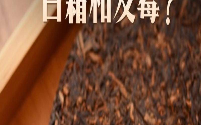 普洱茶饼上的白毛怎么回事,普洱茶鉴别发霉和白霜