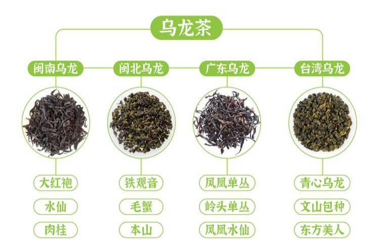 中国茶叶种类有几种（茶树种类及代表茶叶）