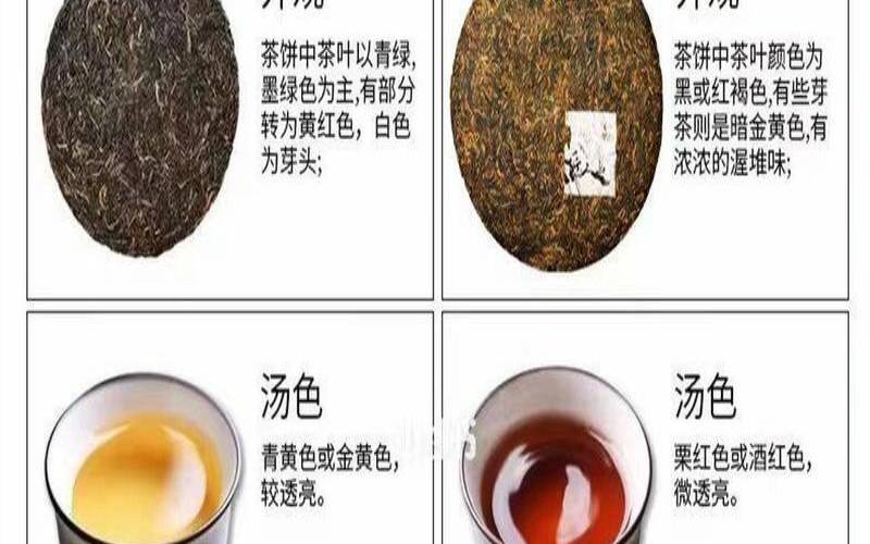 普洱冬天喝还是夏天喝（普洱茶是生茶好还是熟茶好）