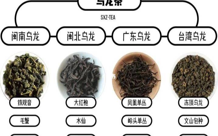 福建乌龙茶有哪些香气（乌龙茶十大品种）