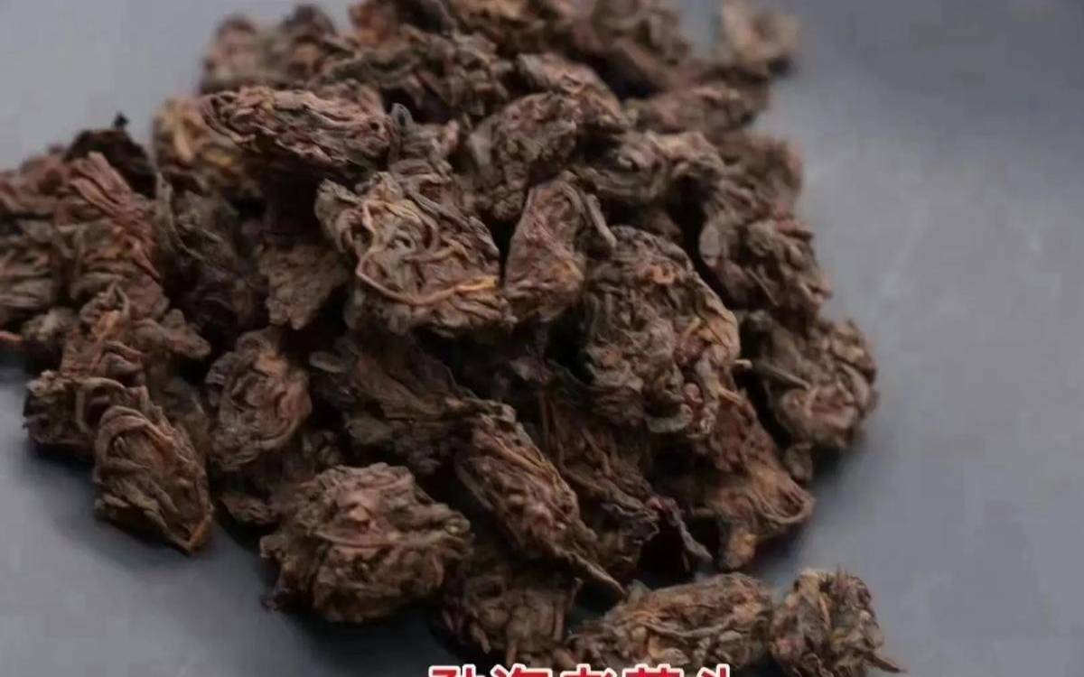 熟普洱老茶头怎么泡（老茶头属于什么茶）