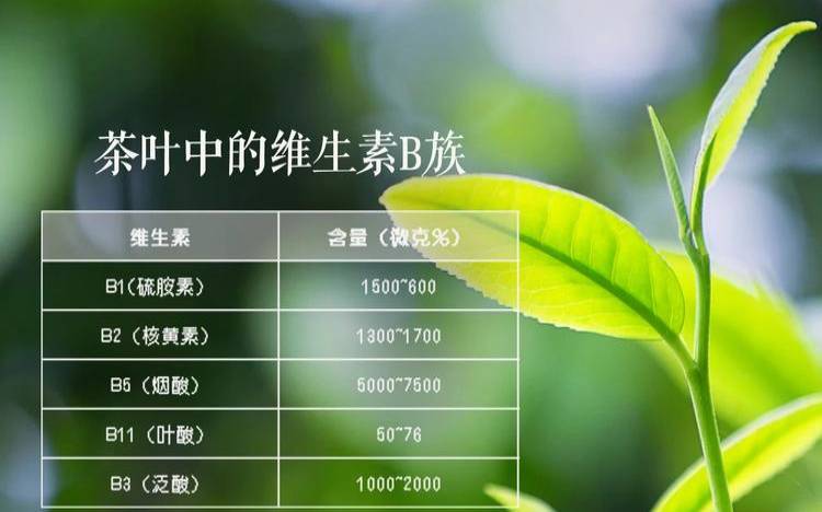 茶叶止血的功效吗有效果吗（以我发现了茶水能止血）