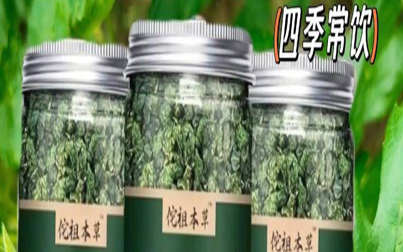 男人喝桑叶茶有什么功效呢,桑叶茶对身体有哪些好处