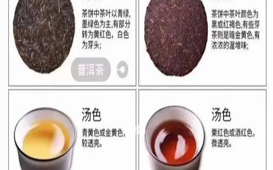 2014年的普洱生茶会过期吗,普洱生茶和熟茶怎么喝