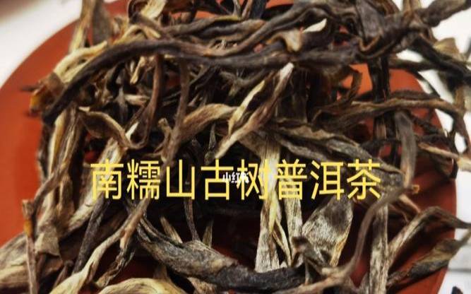 古树普洱茶怎么喝比较好,糯香普洱茶是熟茶还是生茶