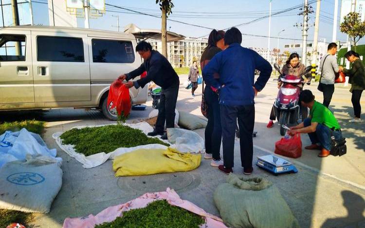 潜江卖茶叶的地方,高档茶叶有哪些