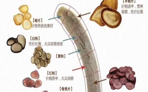 鹿茸泡水喝多久有功效,鹿茸粉片好还是血片好