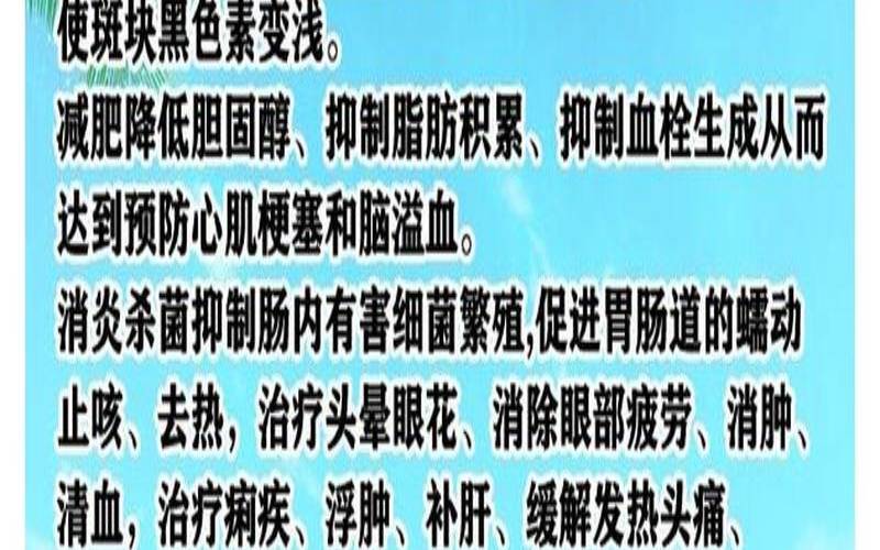 桑叶茶饮用方法,桑叶单独泡水喝的功效