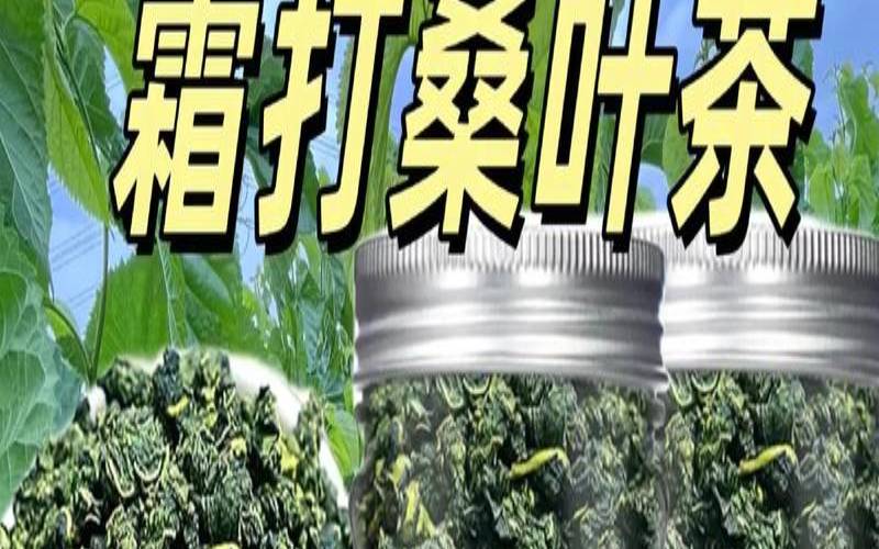 霜后桑叶茶和桑叶茶的区别,霜后桑叶茶能降血压吗